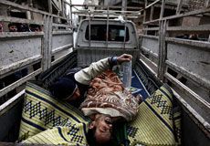 Syrie: quand le photographe guide l’écrivain Littell par Christophe Lamfalussy