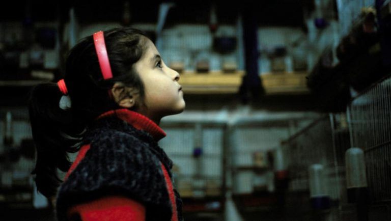 Détail de « La Fille de l’ogre », Syrie, 2014. © Mohamed Lazare Djeddaoui
