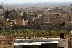 Parcelle de terre cultivée au sein de la ville de Daraya
