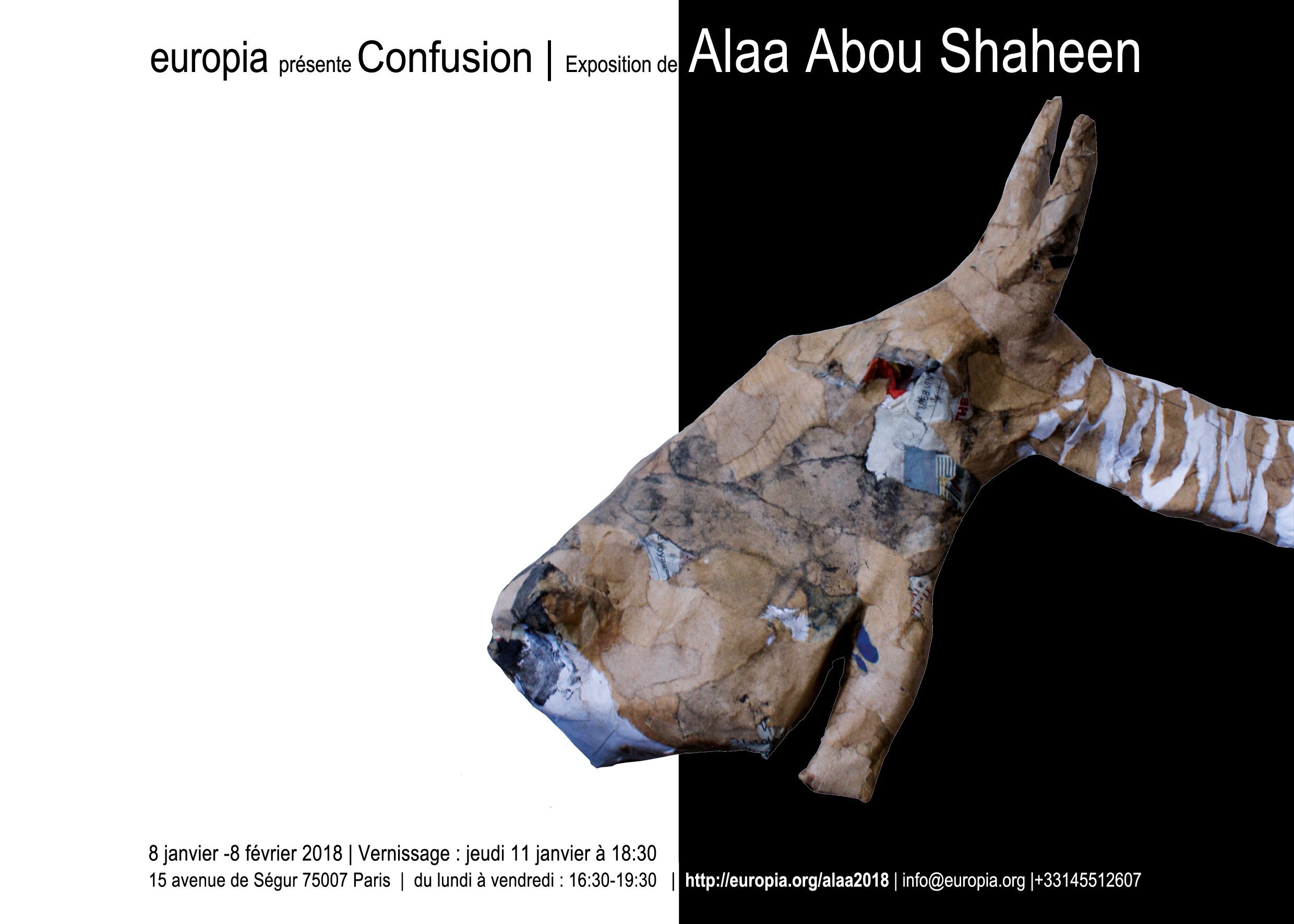 PARIS: "Confusion", exposition d'Alaa Abou Shaheen - Galerie Europia